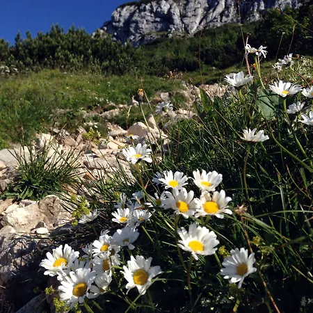Hohenaschau 3* Aschau im Chiemgau